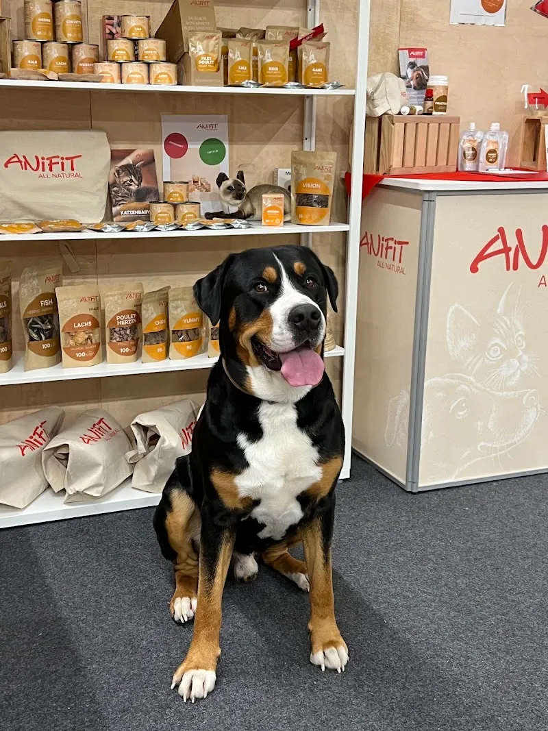 Tatjana Salfinger zertifizierte Ernährungsberaterin für Hunde und Katzen durch Dogtisch Academy — Zoofachhandel, Sissach, Basel-Landschaft. Foto 3