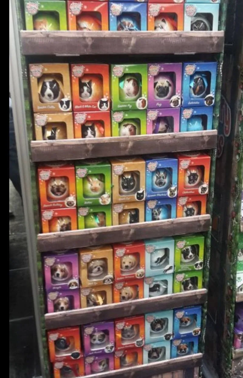 Tierparadies Oberwil — Animalerie, Oberwil, Bâle-Campagne. Foto 2