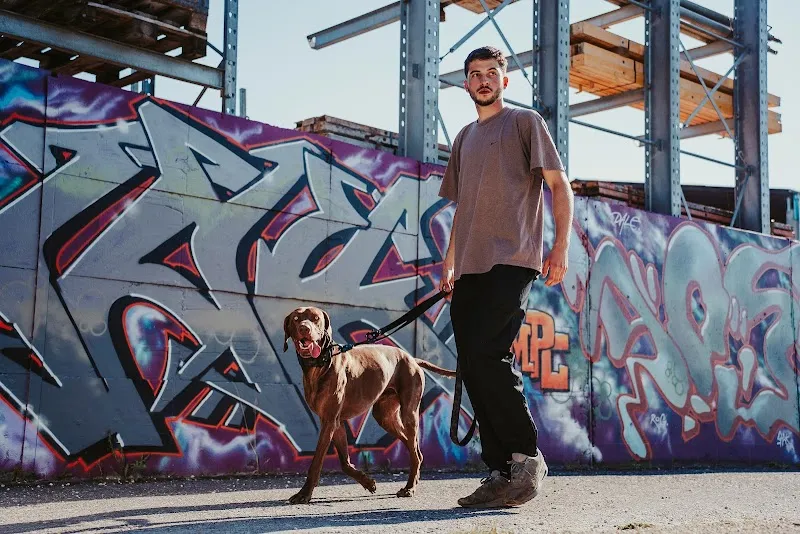 Vitomalia — Zoofachhandel in Basel, Basel-Stadt. Bewertung 4.4/5.