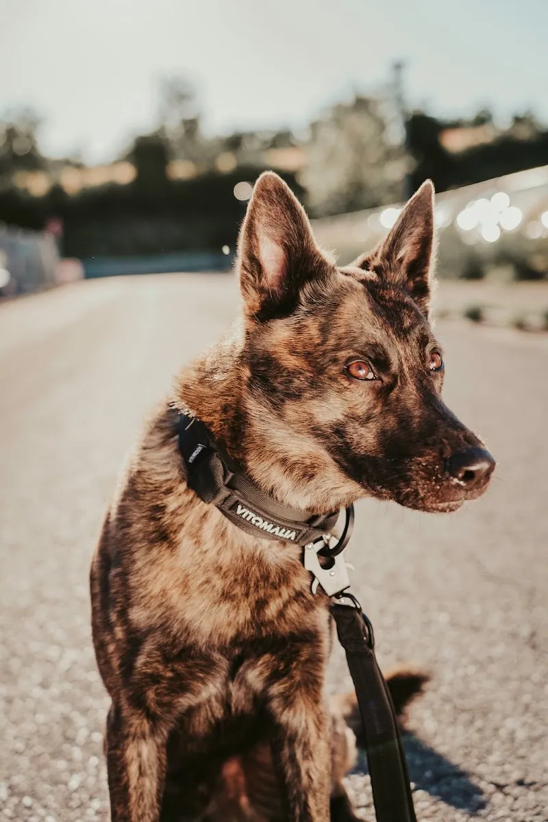 Vitomalia — Animalerie, Basel, Bâle-Ville. Foto 2