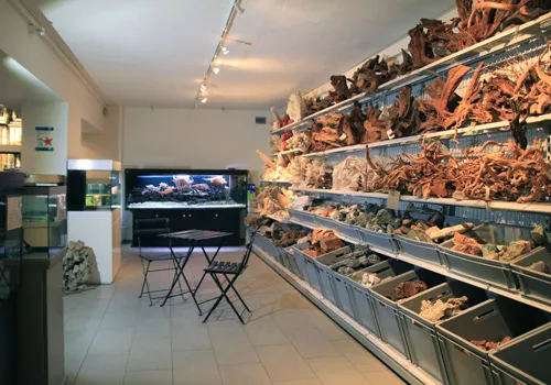 Zierfischcenter-Basel — Animalerie, Basel, Bâle-Ville. Foto 2