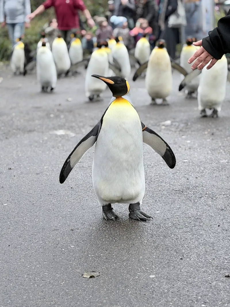 Zoo Basel — Zoofachhandel in Basel, Basel-Stadt. Bewertung 4.5/5.