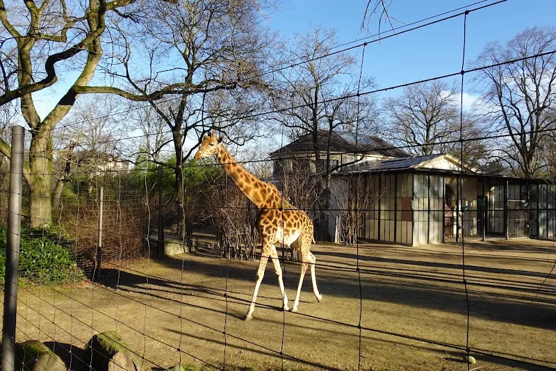 Zoo Basel — Zoofachhandel, Basel, Basel-Stadt. Foto 2