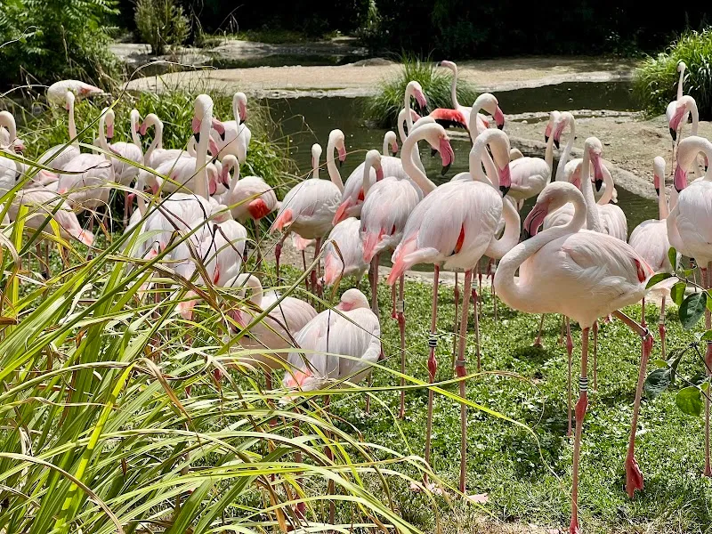 Zoo Basel — Zoofachhandel, Basel, Basel-Stadt. Foto 3