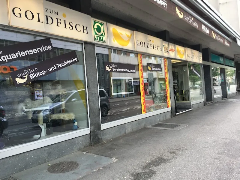 Zum Goldfisch Fiwe-Aquarium GmbH — Zoofachhandel in Basel, Basel-Stadt. Bewertung 4.7/5.