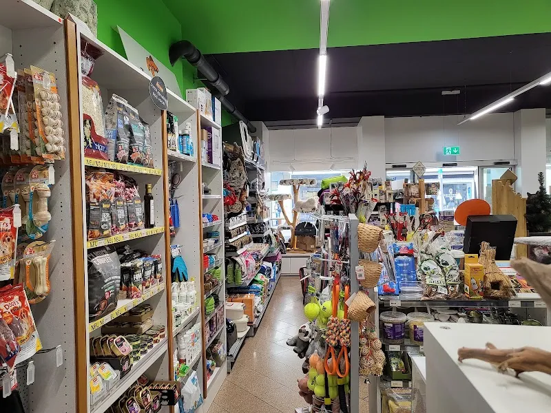 Zum Goldfisch Fiwe-Aquarium GmbH — Animalerie, Basel, Bâle-Ville. Foto 2