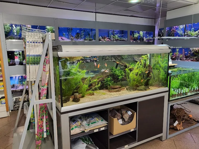 Zum Goldfisch Fiwe-Aquarium GmbH — Animalerie, Basel, Bâle-Ville. Foto 3