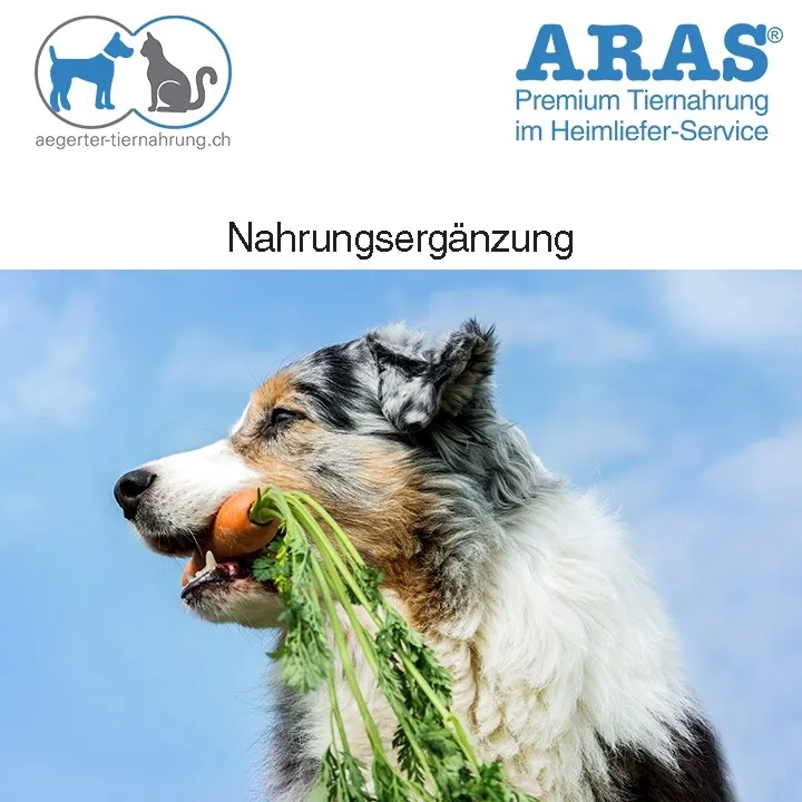 Aegerter Tiernahrung — Zoofachhandel in Grossdietwil, Luzern. Bewertung 5.0/5.