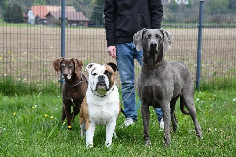 Alex Manufaktur, Herstellung von Hundefutter — Zoofachhandel, Ittigen, Bern. Foto 2