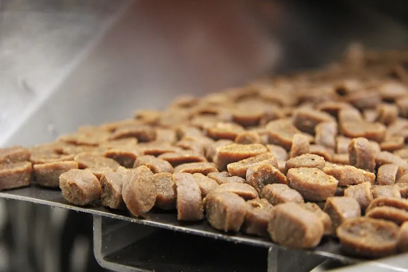 Allfarm AG — Animalerie, Buckten, Bâle-Campagne. Foto 3