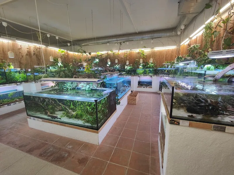 AmaZOOnas — Animalerie, Luzern, Lucerne. Foto 2