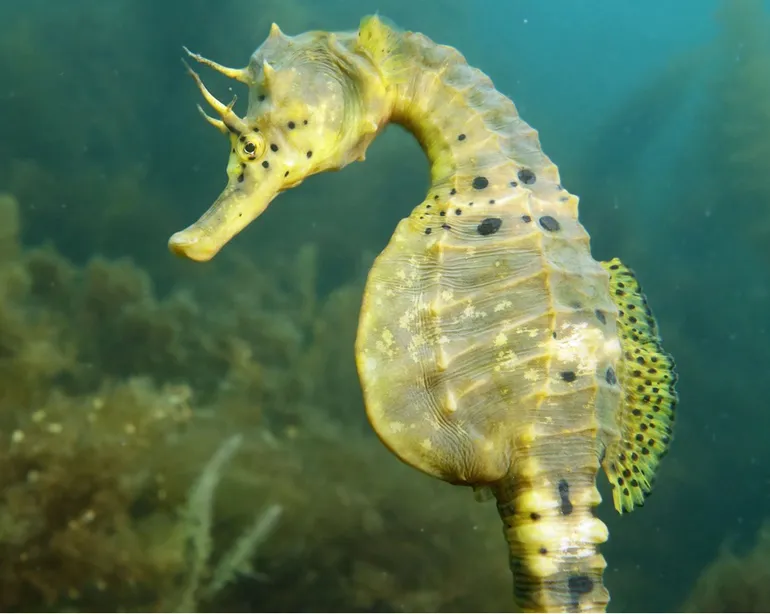 AmaZOOnas — Animalerie, Luzern, Lucerne. Foto 3