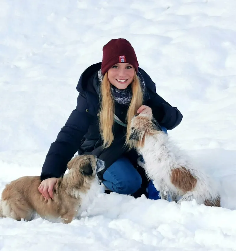 Feingmacht — Katzenpension in Fideris, Graubünden. Bewertung 5.0/5.