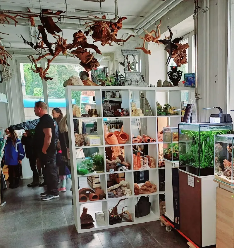 Aquarius Känel GmbH — Zoofachhandel in Zuchwil, Solothurn. Bewertung 4.9/5.