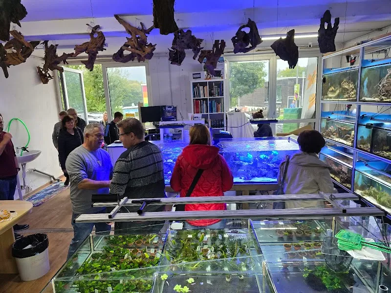 Aquarius Känel GmbH — Animalerie, Zuchwil, Soleure. Foto 2