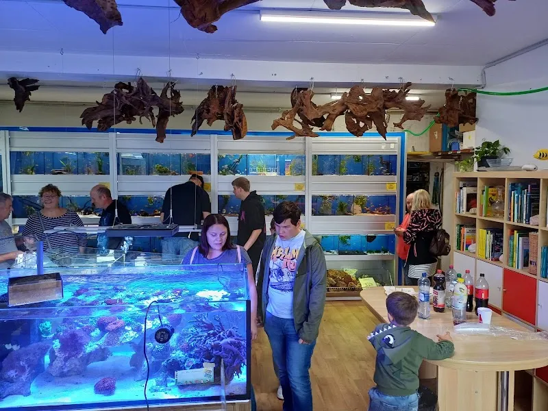 Aquarius Känel GmbH — Animalerie, Zuchwil, Soleure. Foto 3