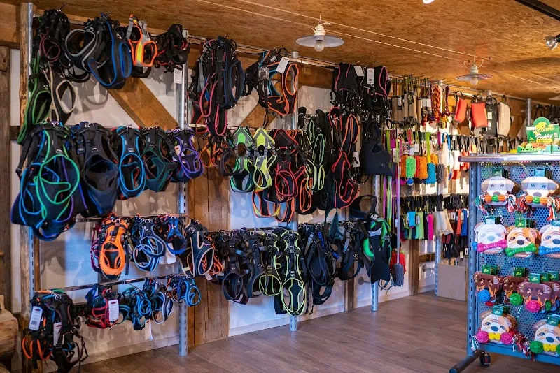 Beat Grossenbacher GmbH — Animalerie, Hasle bei Burgdorf, Berne. Foto 2