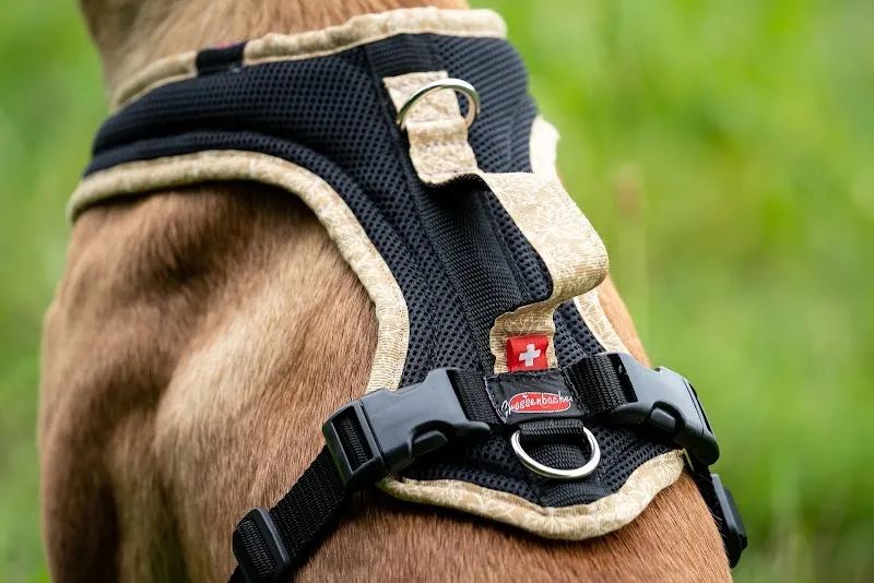 Beat Grossenbacher GmbH — Animalerie, Hasle bei Burgdorf, Berne. Foto 3