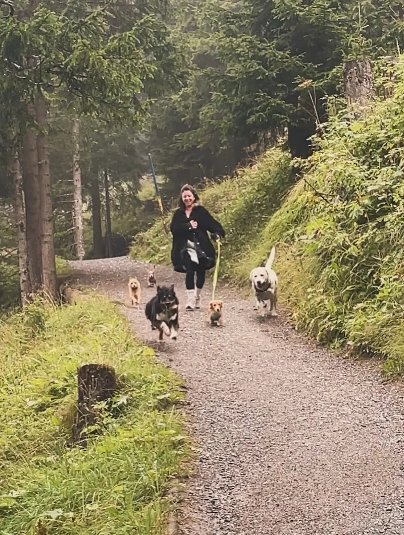 Feladina — Katzenpension in Davos Platz, Graubünden. 
