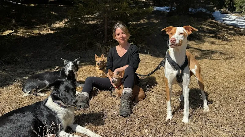 Feladina — Katzenpension, Davos Platz, Graubünden. Foto 2