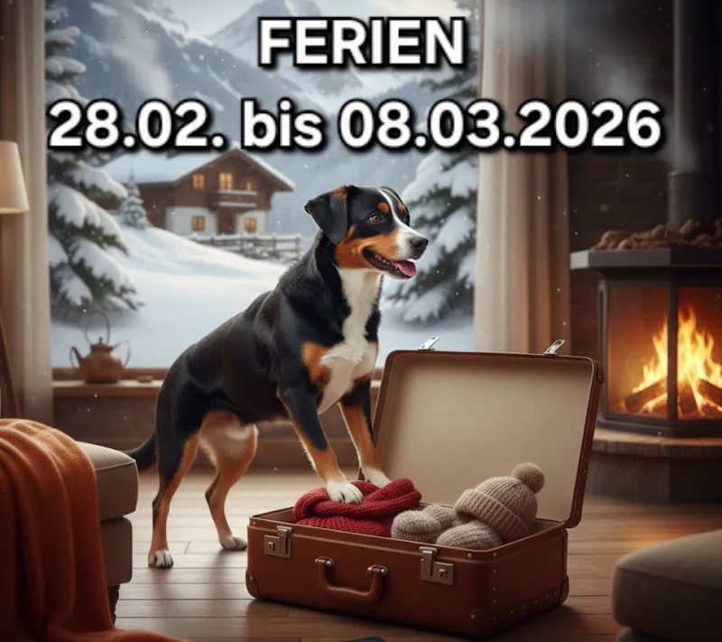 Country-Pet Schmied — Animalerie, Röthenbach bei Herzogenbuchsee, Berne. Foto 2