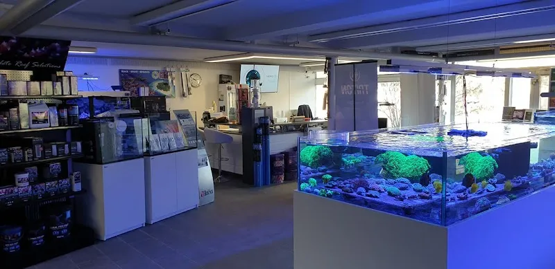 Crazy Corals — Zoofachhandel in Wiedlisbach, Bern. Bewertung 4.6/5.