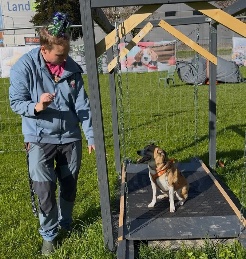 Ge's Dog Degility — Katzenpension in Landquart, Graubünden. 