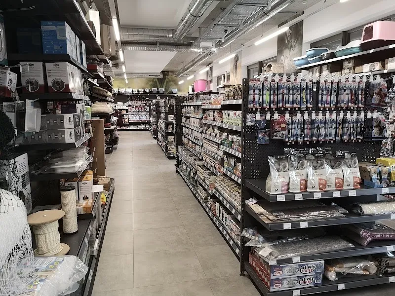 Fellnasen Paradies — Zoofachhandel, Wichtrach, Bern. Foto 2