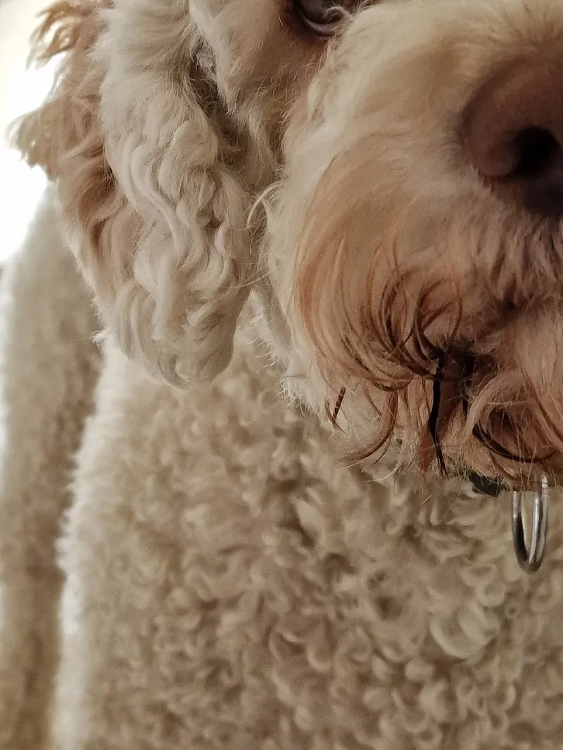 Fressnapf Baden-Dättwil — Zoofachhandel, Dättwil, Aargau. Foto 3