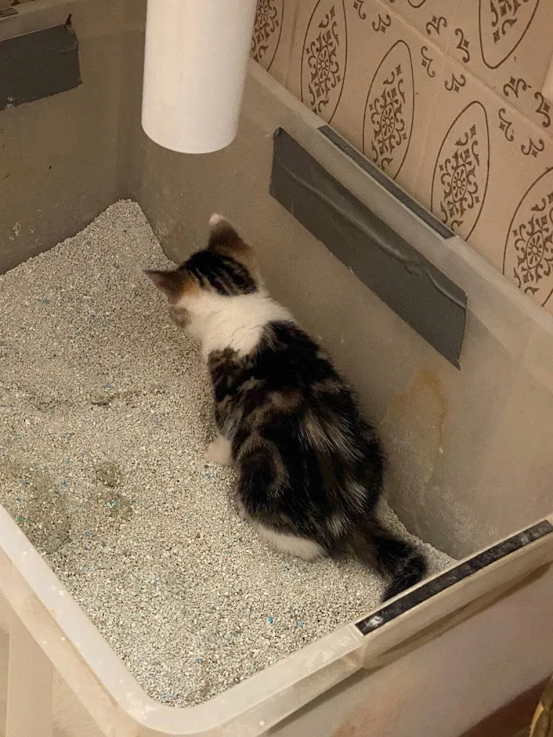 Fressnapf Langenthal — Zoofachhandel, Langenthal, Bern. Foto 3