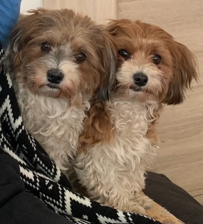 Fressnapf Lyssach — Animalerie, Lyssach, Berne. Foto 3