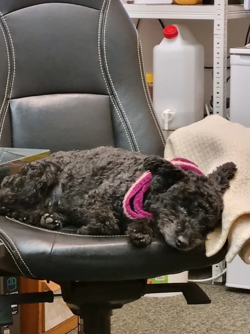 Fressnapf Zuchwil — Animalerie, Zuchwil, Soleure. Foto 3