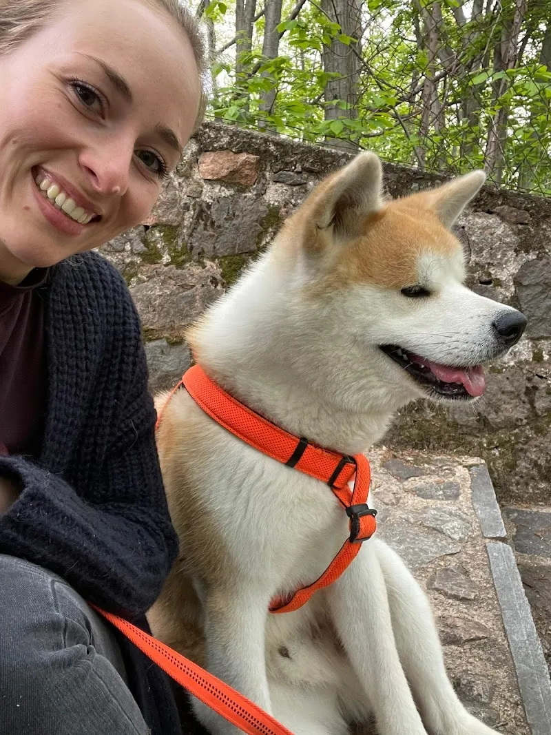 Haustiernanny — Katzenpension, Zernez, Graubünden. Foto 2