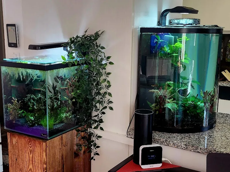 Garnelenmarkt - online Shop — Zoofachhandel in Bern, Bern. Bewertung 4.5/5.