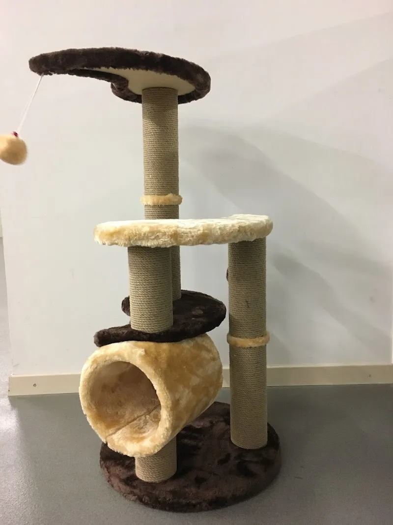 Godi´s Heimtierbedarf — Zoofachhandel, Richenthal, Luzern. Foto 2