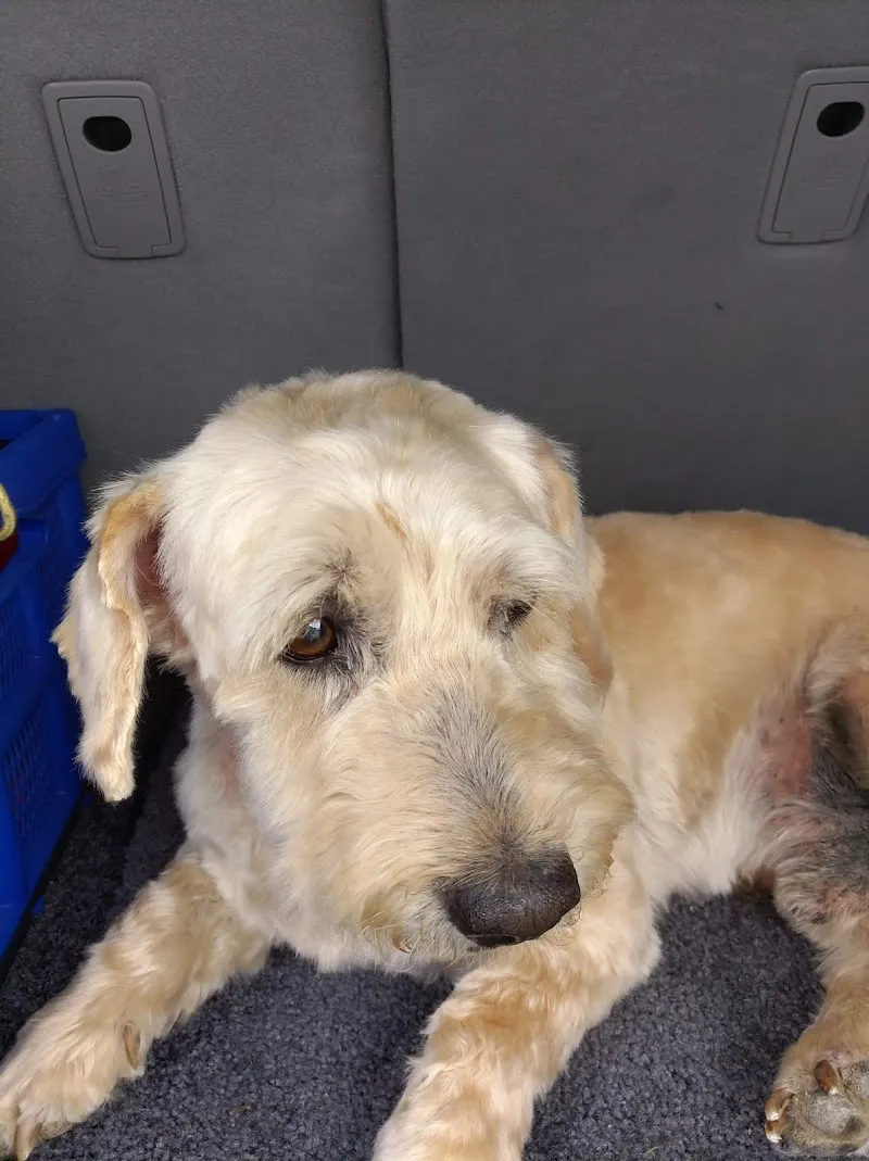 Meiko Heimtierbedarf AG — Zoofachhandel, Lyssach, Bern. Foto 3