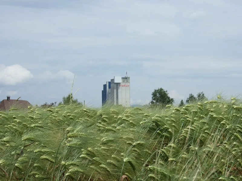 Meliofeed AG — Zoofachhandel in Herzogenbuchsee, Bern. Bewertung 4.4/5.