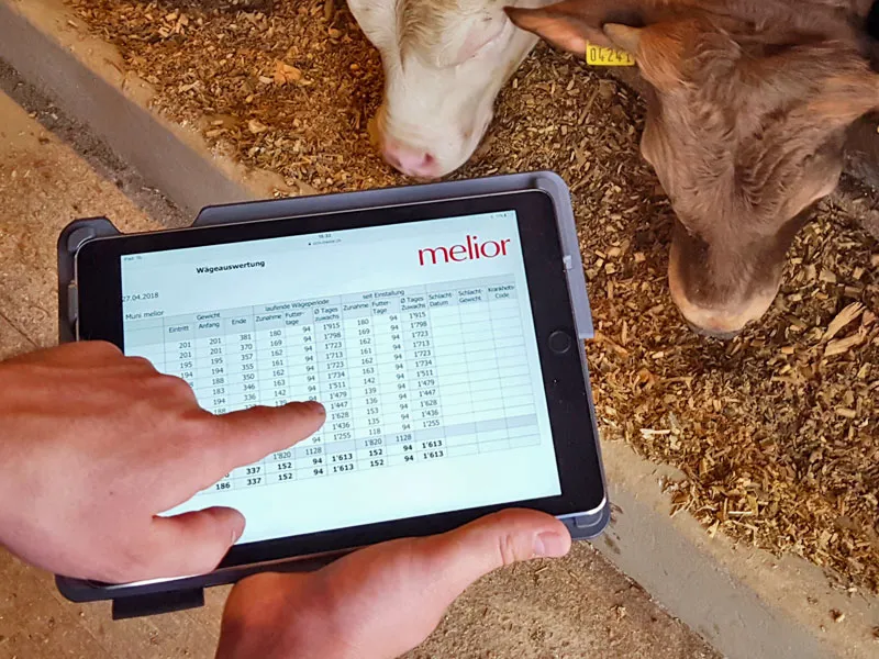 Meliofeed AG — Zoofachhandel, Herzogenbuchsee, Bern. Foto 2