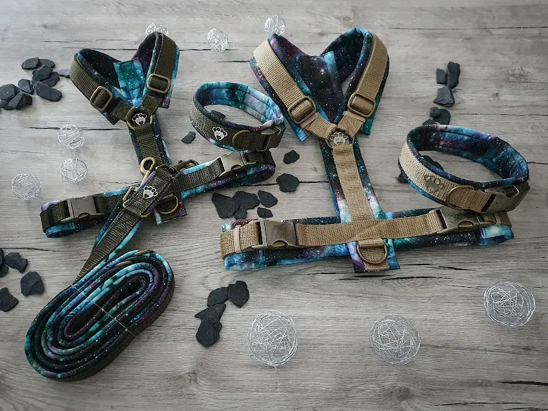 Mirus Pfötchen — Zoofachhandel in Bönigen, Bern. Bewertung 5.0/5.