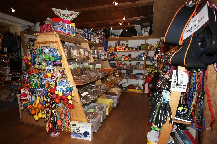 Moni's Hunde und Katzenstübli — Zoofachhandel, Laupen, Bern. Foto 2