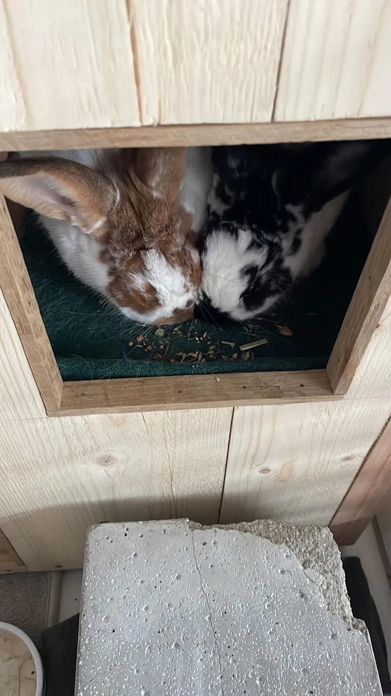 Nager`s Wiesenbackstube GmbH — Zoofachhandel, Lützelflüh-Goldbach, Bern. Foto 2