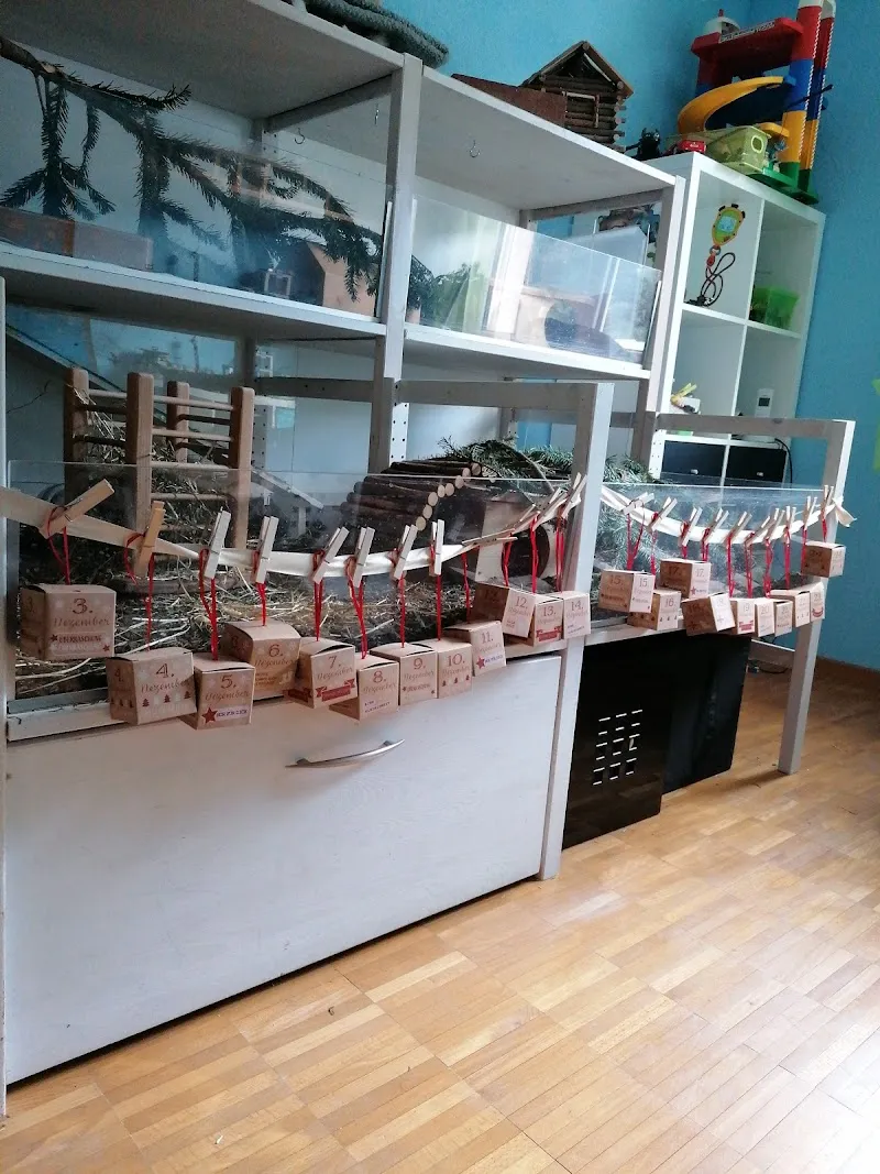 Nager`s Wiesenbackstube GmbH — Zoofachhandel, Lützelflüh-Goldbach, Bern. Foto 3