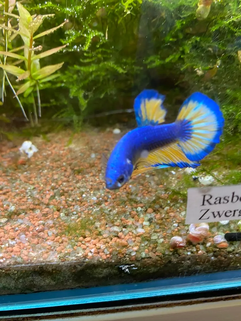 Naturaquarium.ch Online Shop — Zoofachhandel in Thun, Bern. Bewertung 4.1/5.