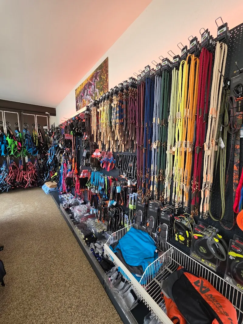 Neo's Tierbedarf — Animalerie, Altbüron, Lucerne. Foto 2