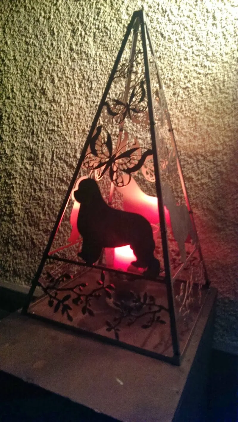 Neufundländer vom Bäzi-Bär — Animalerie, Krauchthal, Berne. Foto 2