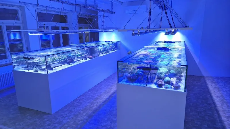 Ocean2Go — Animalerie, Hub, Berne. Foto 2