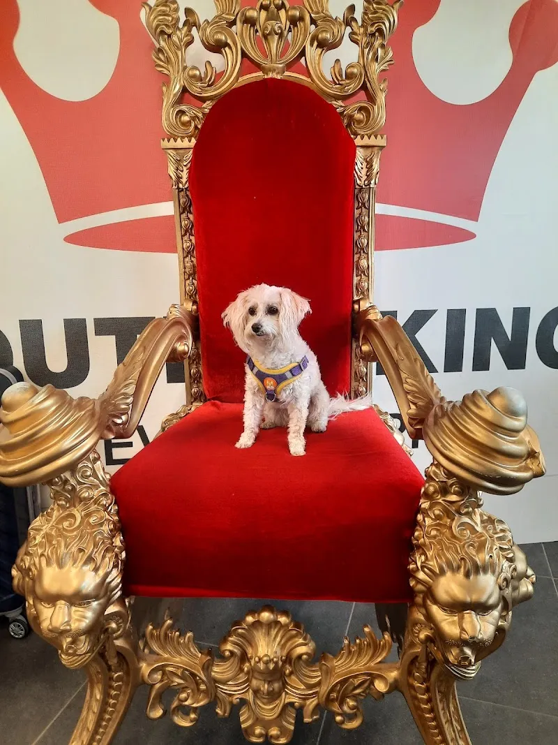 Outlet-King — Animalerie, Spiez, Berne. Foto 3