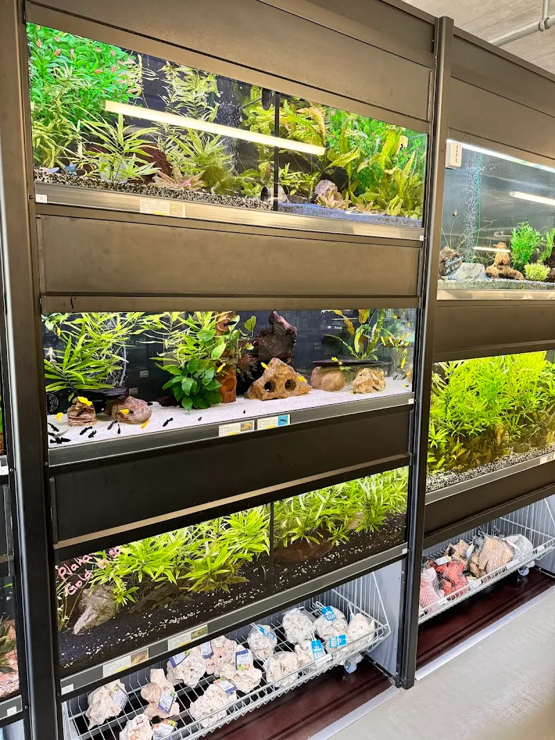 Petfriends Muri — Animalerie, Muri bei Bern, Berne. Foto 3