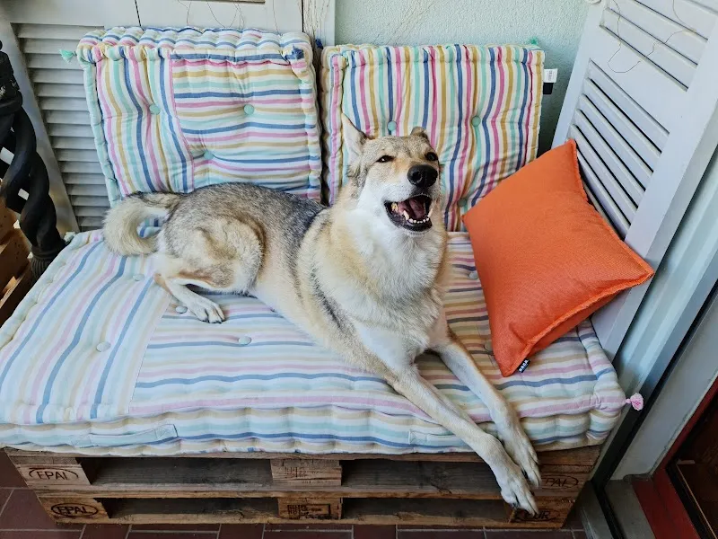 Pfötli-Egge — Animalerie, Hausen, Argovie. Foto 2