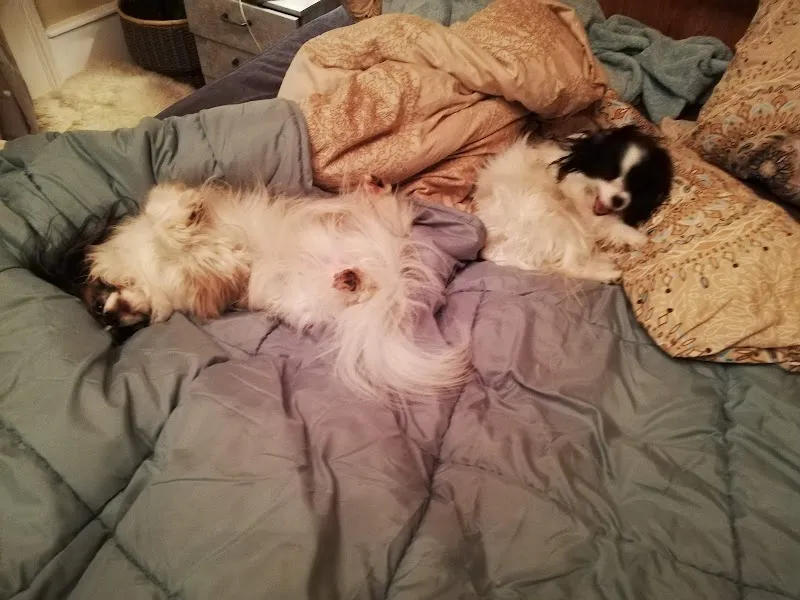 QUALIPET Center Bellach — Zoofachhandel, Bellach, Solothurn. Foto 3